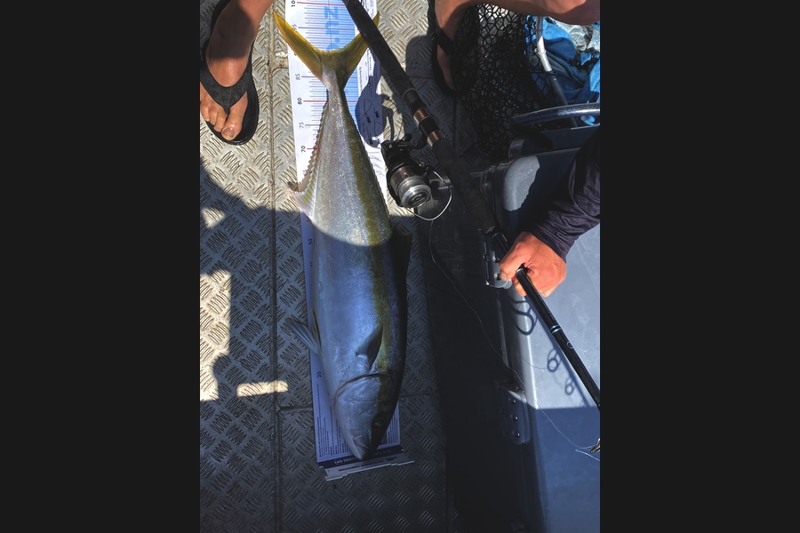 Darren Bugg caught this 90cm Kingfish at New Plymouth  during The Export NZ Fishing Competition