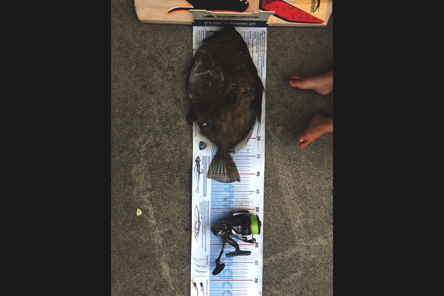 Michael Brown caught this 42.5cm John Dory at Bop  during The Export NZ Fishing Competition