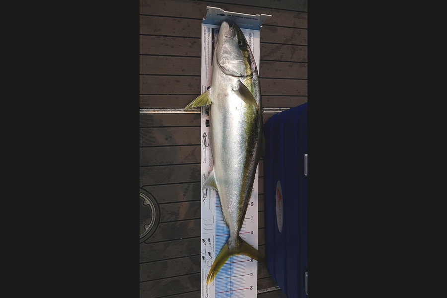 Nikki Pask caught this 77.5cm Kingfish at Whakatane during The Export NZ Fishing Competition
