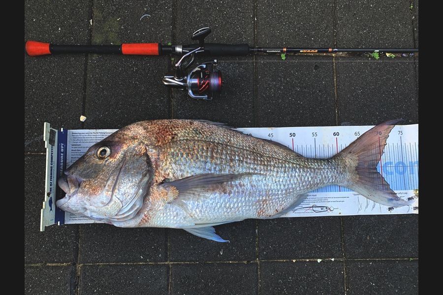 Mark Piskulic caught this 68.5cm Snapper at Doubtless bay during The Export NZ Fishing Competition