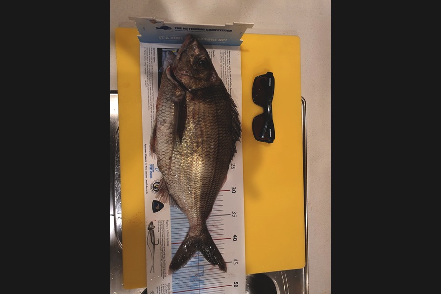 Logan Woods caught this 42cm Tarakihi at Mana during The Export NZ Fishing Competition