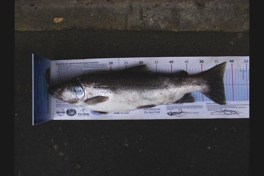 Johnny Huynen caught this 57.0cm Trout at Wairarapa during The Export NZ Fishing Competition