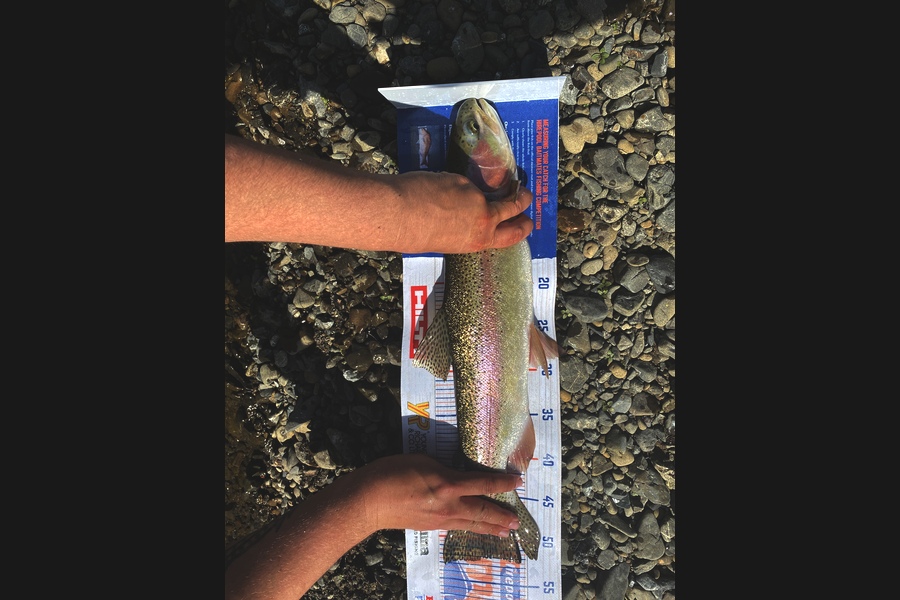 Josiah Atkinson caught this 52cm Trout at Murupara during The Export NZ Fishing Competition