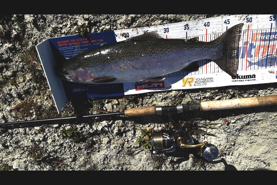 Bob Murphy caught this 48.0cm Trout at Waitaki during The Export NZ Fishing Competition