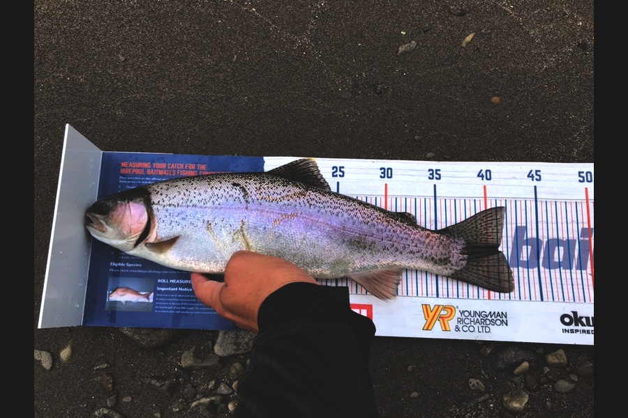 Gabriel Vilgalys caught this 41cm Trout at Whakatane during The Export NZ Fishing Competition