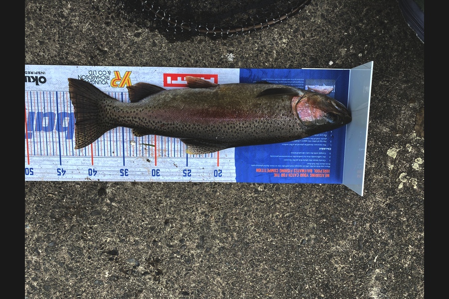 Josiah Atkinson caught this 42cm Trout at Whakatane during The Export NZ Fishing Competition