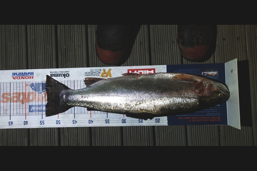 Melanie Pzpuni caught this 53.5cm Trout at Rotoiti during The Export NZ Fishing Competition
