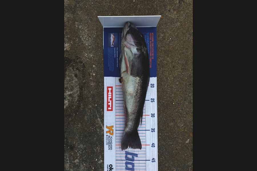 Luke Bryant  caught this 40.5cm Blue Cod at Makara during The Export NZ Fishing Competition