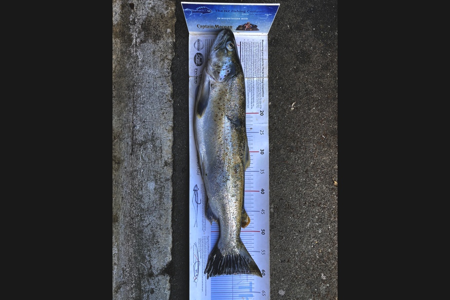 Johnny Huynen caught this 60.5cm Trout at Wairarapa  during The Export NZ Fishing Competition