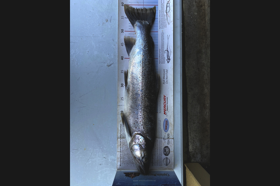 Johnny Huynen caught this 58.5cm Trout at Wairarapa  during The Export NZ Fishing Competition