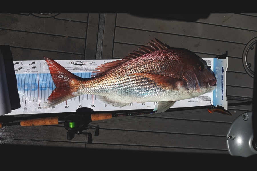 Nikki Pask caught this 63.5cm Snapper at Whakatane during The Export NZ Fishing Competition