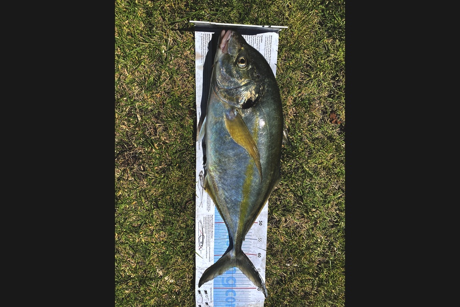 Mathieu Poot caught this 63.5cm Trevally at Karikari during The Export NZ Fishing Competition