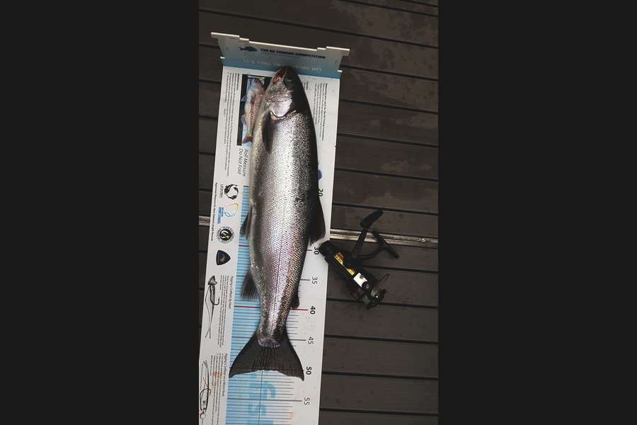 Shaine Pask caught this 50.0cm Trout at Taupo during The Export NZ Fishing Competition