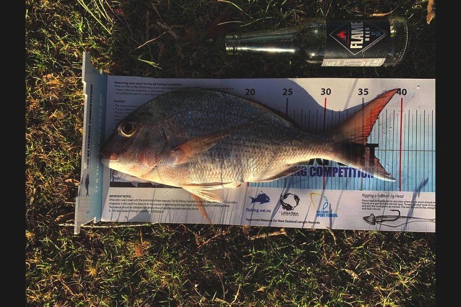 Otele Etuale caught this 35.5cm Snapper at Grahams Beach during The Export NZ Fishing Competition