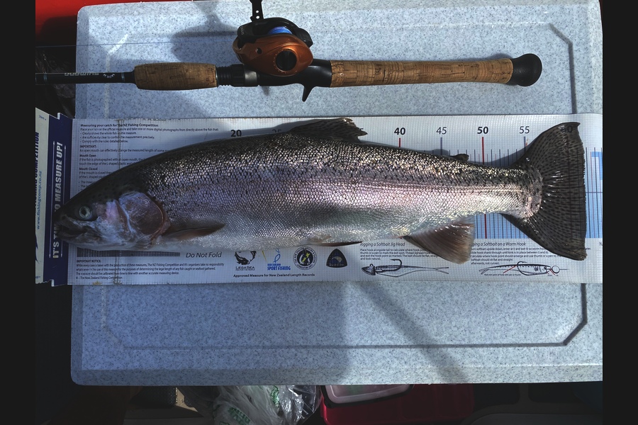 Ian Pedersen caught this 61.5cm Trout at BOP during The Export NZ Fishing Competition
