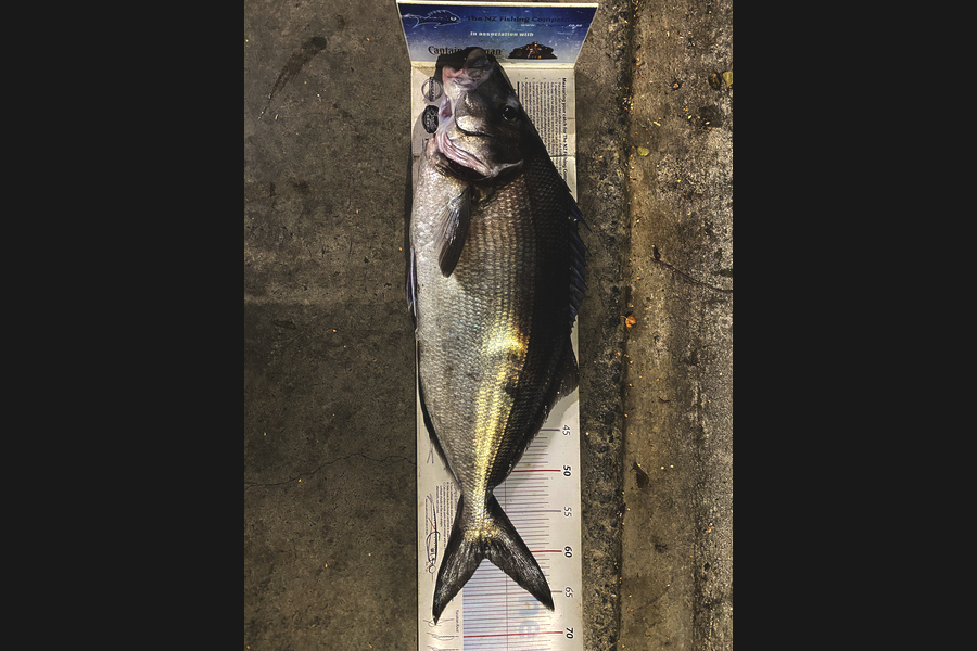 Johnny Huynen caught this 60.5cm Blue Moki at Wairarapa  during The Export NZ Fishing Competition