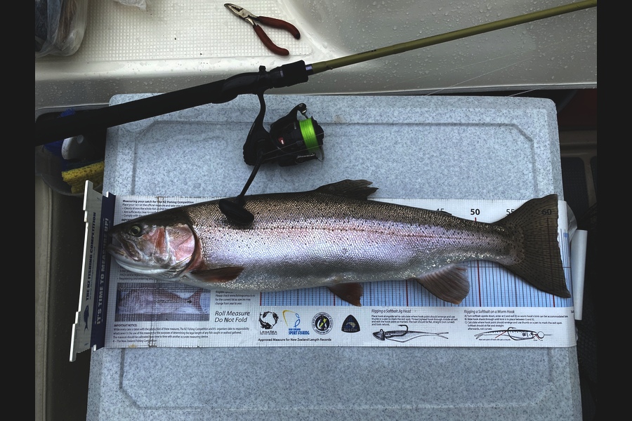 Ian Pedersen caught this 61.0cm Trout at BOP during The Export NZ Fishing Competition