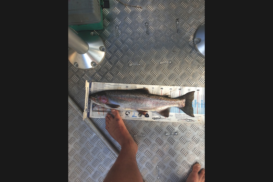 Kieran  Rawlinson caught this 57.0cm Trout at Taupo during The Export NZ Fishing Competition