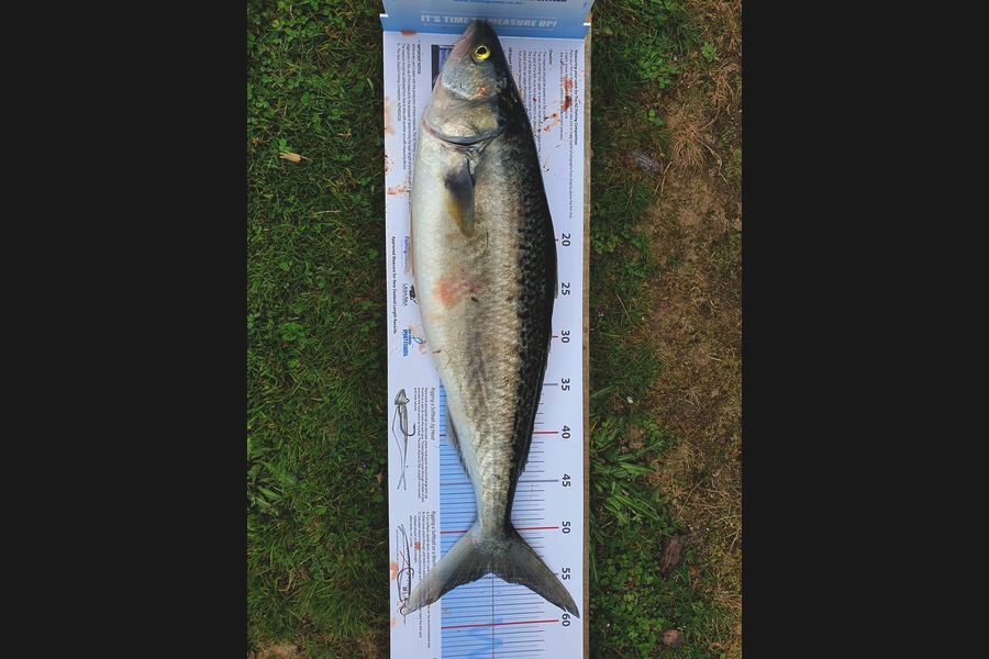 Will Boaz caught this 54.5cm Kahawai at Westport during The Export NZ Fishing Competition