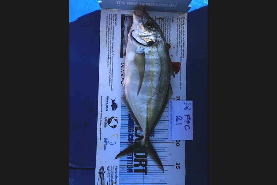 Roma Bertasius caught this 31.5cm Trevally at Noises  during The Export NZ Fishing Competition