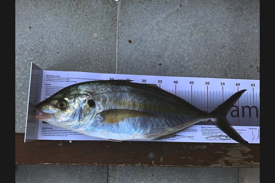 Becky Farrell caught this 55.5cm Trevally at Langs Beach during The Export NZ Fishing Competition