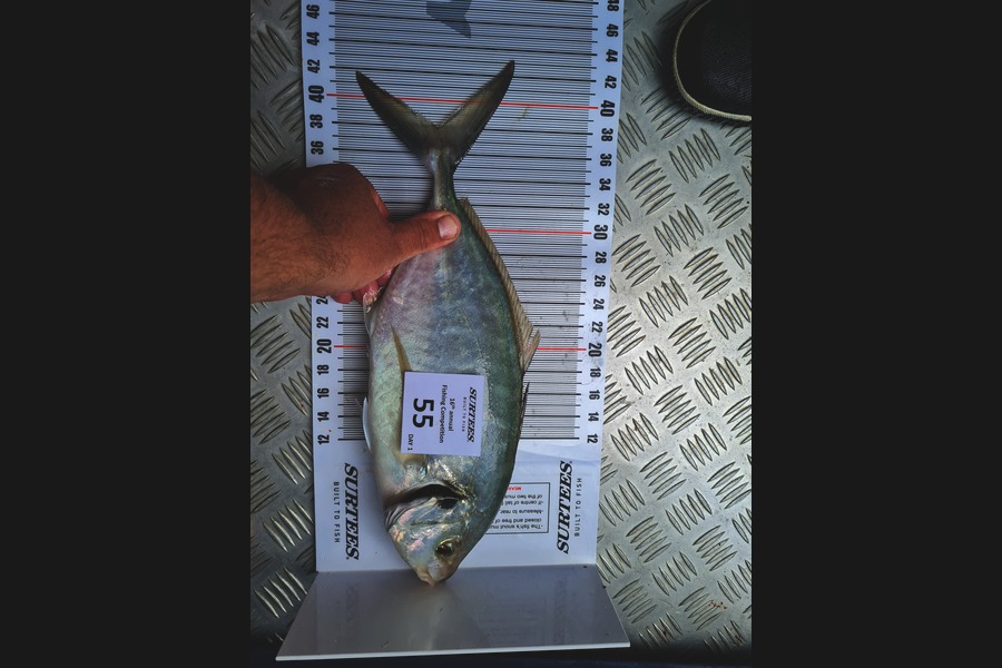 Graeme Pepper caught this 38.0cm Trevally at Coromandel during The Export NZ Fishing Competition