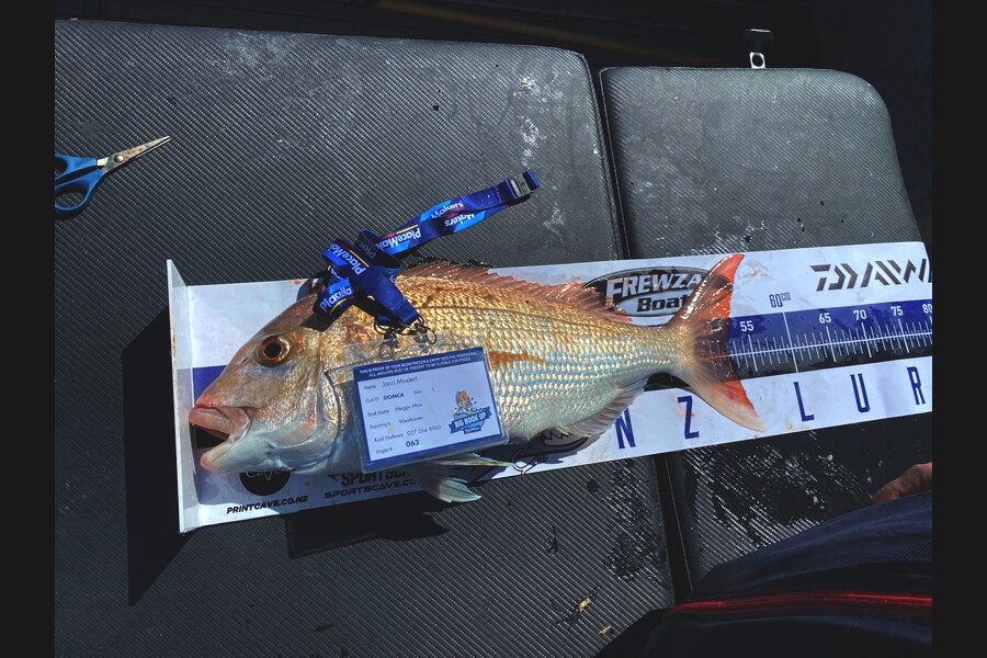 Andy Hall caught this 52.0cm Snapper at Oamaru Bay, Coromandel during The Export NZ Fishing Competition