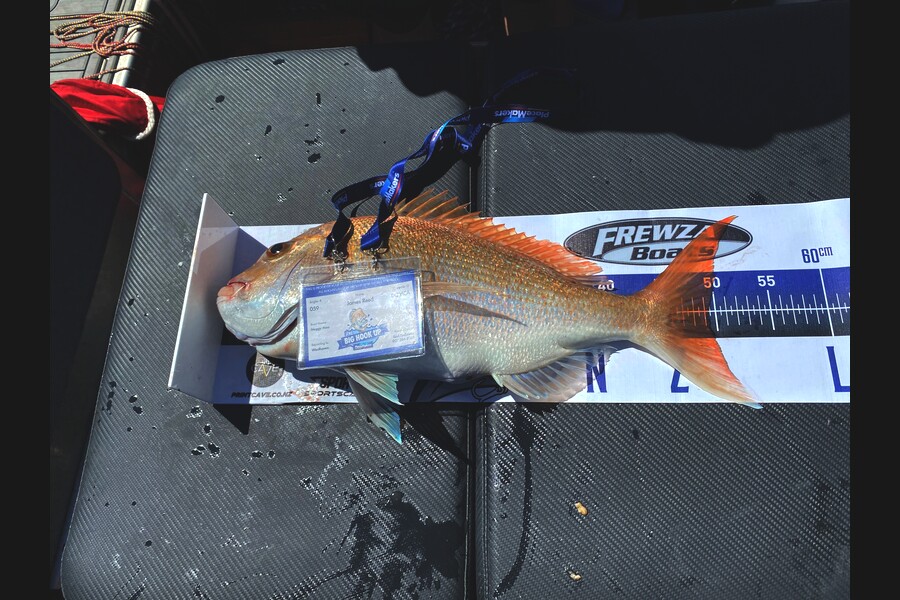 Andy Hall caught this 49.0cm Snapper at Oamaru Bay, Coromandel during The Export NZ Fishing Competition