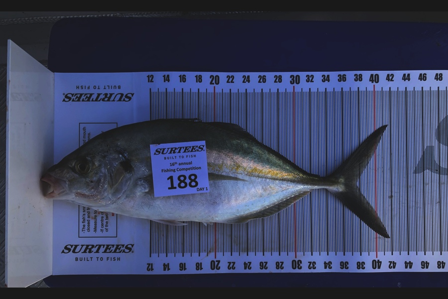 Nick Caulton caught this 37.5cm Trevally at Coromandel during The Export NZ Fishing Competition