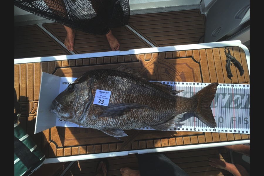 Ben Brown caught this 78.0cm Snapper at Coromandel during The Export NZ Fishing Competition