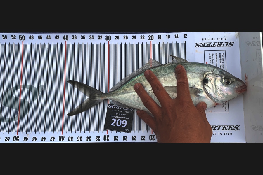 Regan Woodmass caught this 34.0cm Trevally at Coromandel during The Export NZ Fishing Competition