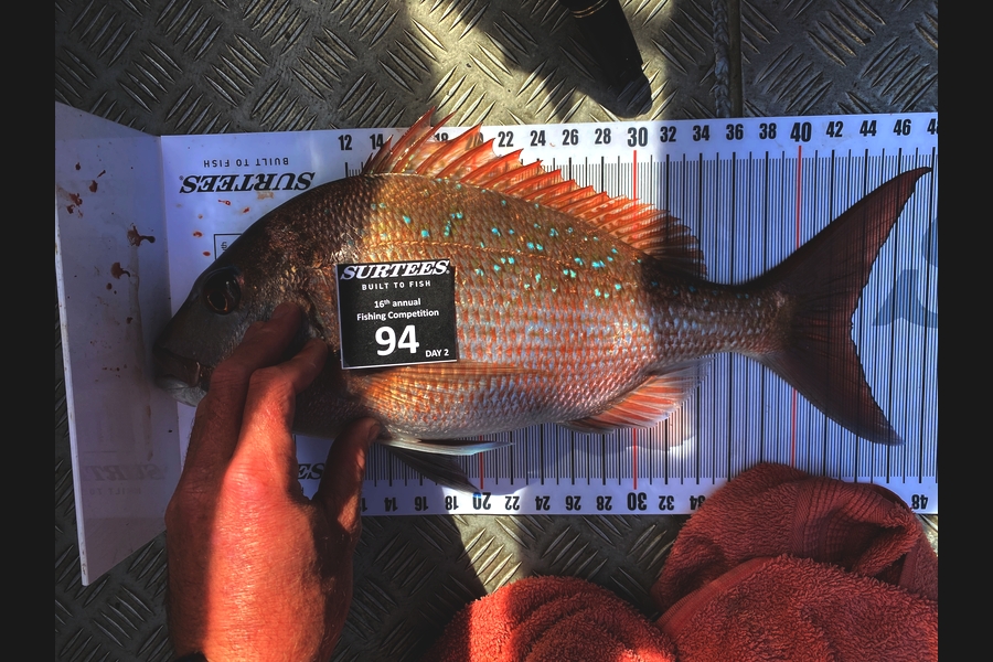 Craig Goodhue caught this 43cm Snapper at Coromandel during The Export NZ Fishing Competition