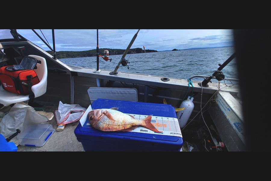 Riki Taia caught this 54cm Snapper at Tiri during The Export NZ Fishing Competition