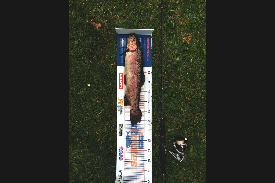 Michael Brown caught this 46.5cm Trout at Bop during The Export NZ Fishing Competition