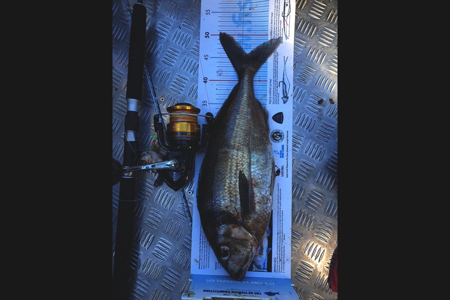 Adam Liddington caught this 45.5cm Tarakihi at Southland during The Export NZ Fishing Competition