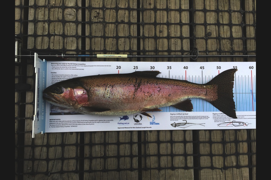 Ross Kearvell caught this 54.0cm Trout at Lake Rerewhakaaitu during The Export NZ Fishing Competition