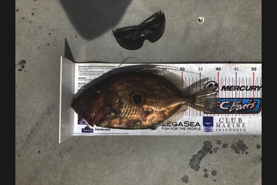 Mark Ray caught this 39.5cm John Dory at Bop during The Export NZ Fishing Competition