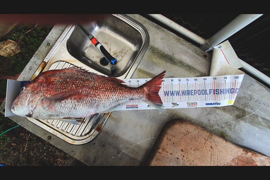 Vincent  Szabo-powell  caught this 76.5cm Snapper at manakau bar during The Export NZ Fishing Competition