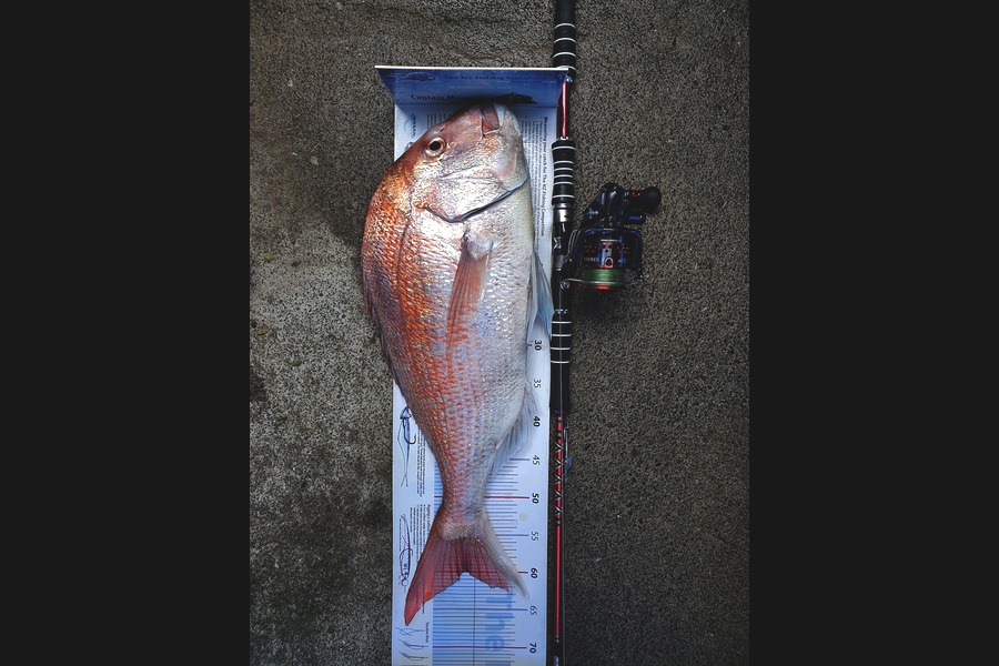Graeme Mckay caught this 60.0cm Snapper at Gisborne during The Export NZ Fishing Competition
