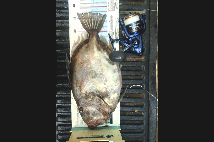 Damien Sinclair caught this 47.5cm John Dory at Tora  during The Export NZ Fishing Competition
