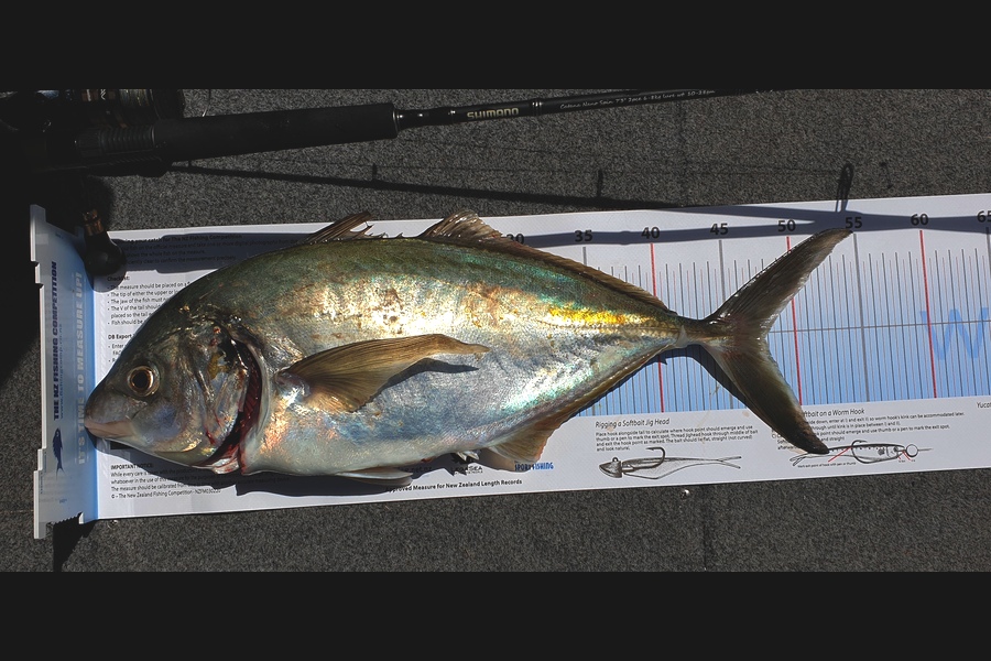 Diane Hart caught this 47.5cm Trevally at Bowentown  during The Export NZ Fishing Competition