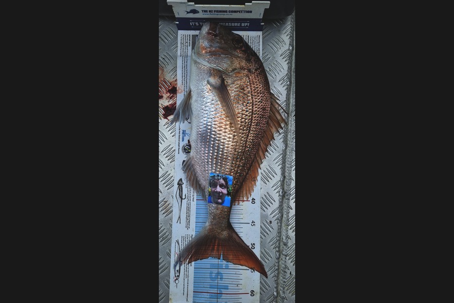 Spencer Roff caught this 53.0cm Snapper at Kauwau during The Export NZ Fishing Competition
