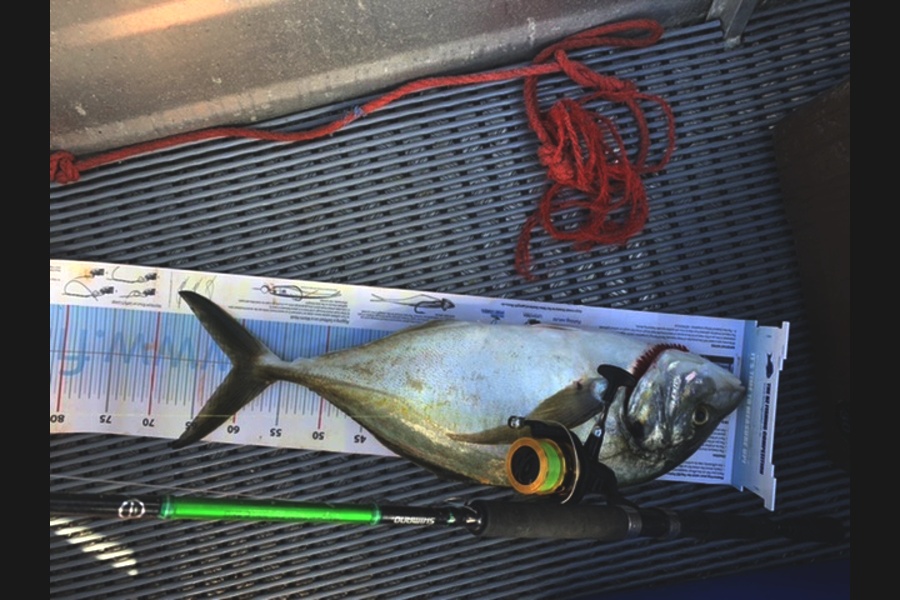 Mark Keatley caught this 60.5cm Trevally at Far North  during The Export NZ Fishing Competition