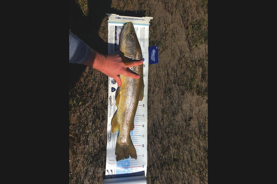 Gareth  Nicholson  caught this 66.0cm Trout at Nelson/Marlborough during The Export NZ Fishing Competition