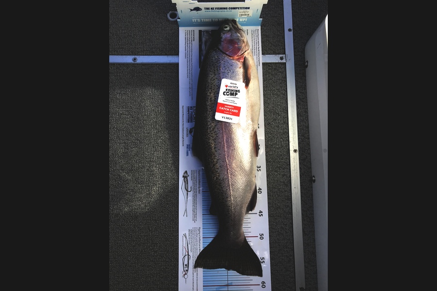 Brendon Godwin caught this 56.5cm Trout at Taupo during The Export NZ Fishing Competition