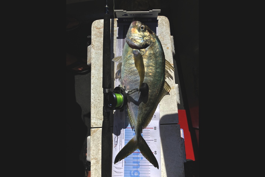 Dennis  Taylor  caught this 58.5cm Trevally at New Plymouth  during The Export NZ Fishing Competition