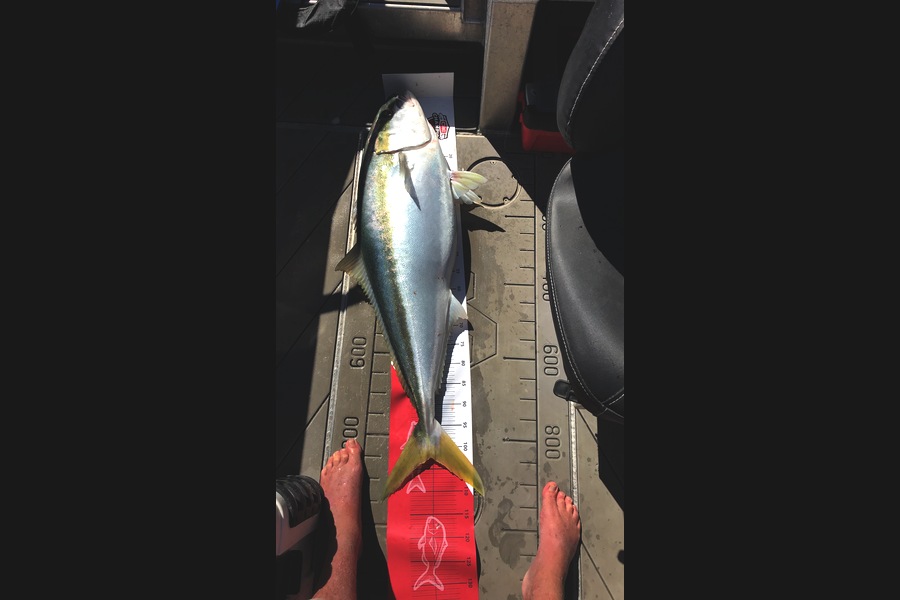 David Monagan caught this 102.0cm Kingfish at Pourerere  during The Export NZ Fishing Competition