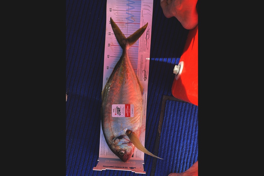 Frances Jones caught this 53.5cm Trevally at Gisborne  during The Export NZ Fishing Competition