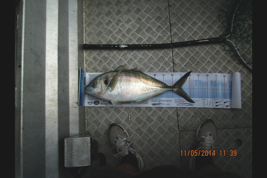 Brian Fensom caught this 55.0cm Trevally at Durville during The Export NZ Fishing Competition