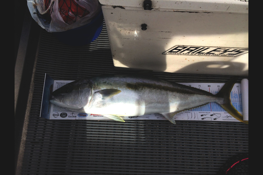 Tony Wiles caught this 90cm Kingfish at Doubtless Bay during The Export NZ Fishing Competition